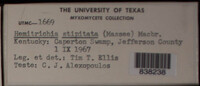 Image Associated With the Occurence